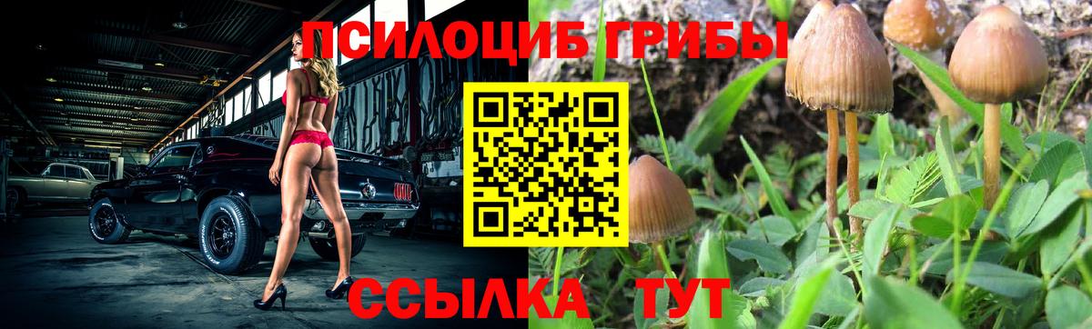 Псилоцибиновые грибы Cubensis  Галлюциногенные грибы ЛСД  Вход с VPN  закладка  Тула 